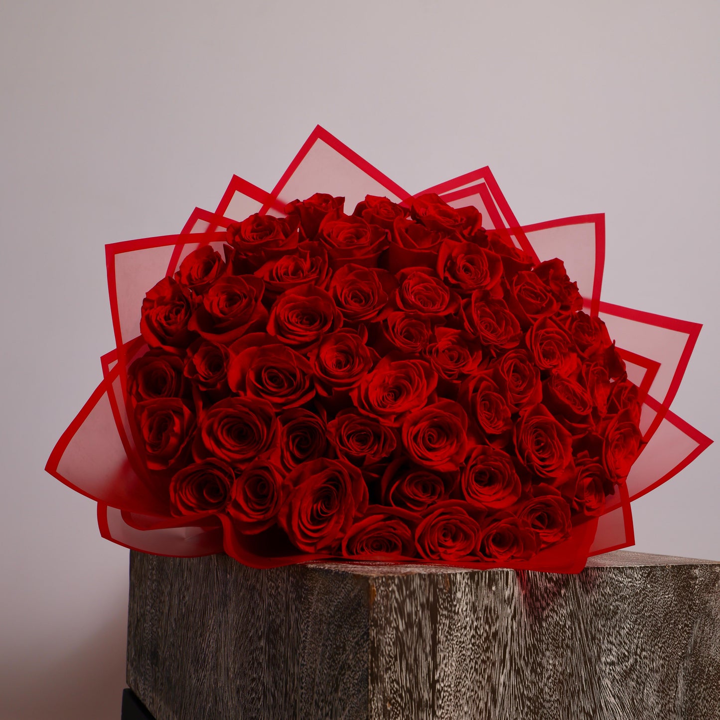 Rosa D'Amore