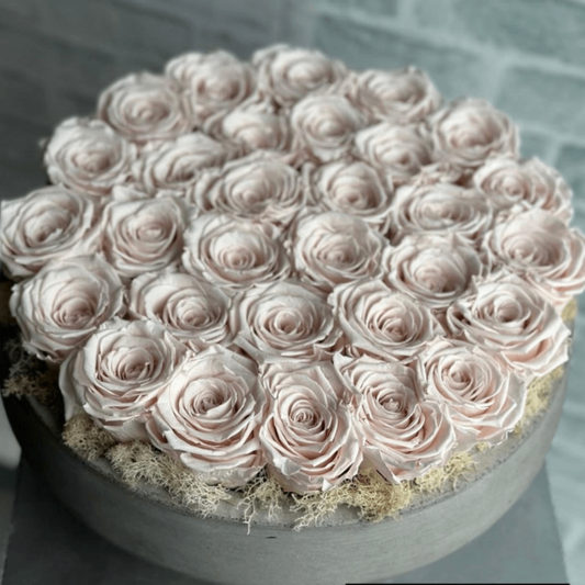 Blush preserved rose dome box