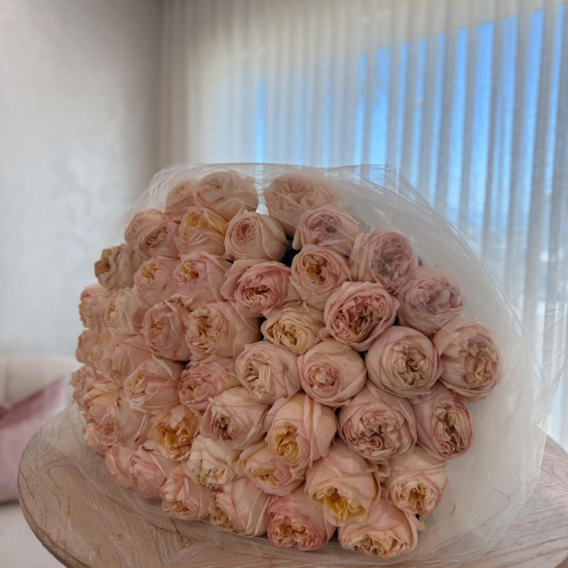 Blush Juliet roses in white tulle