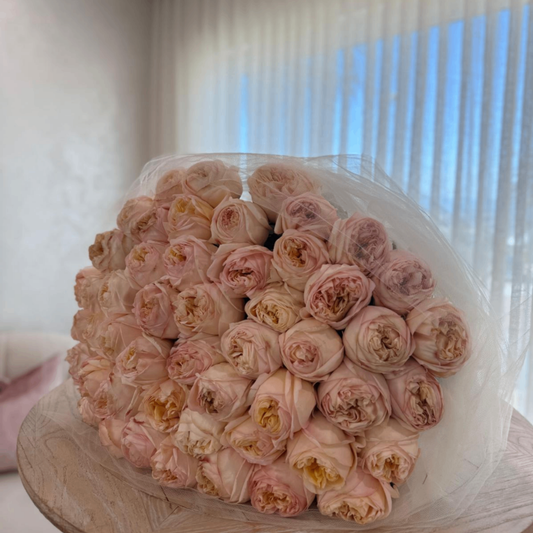Blush Juliet roses in white tulle