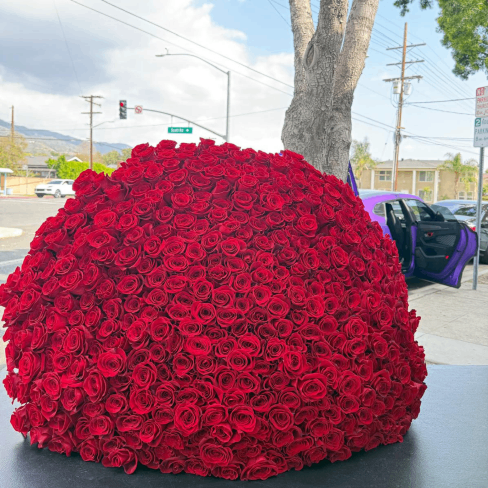 Giant red rose sphere 500 roses