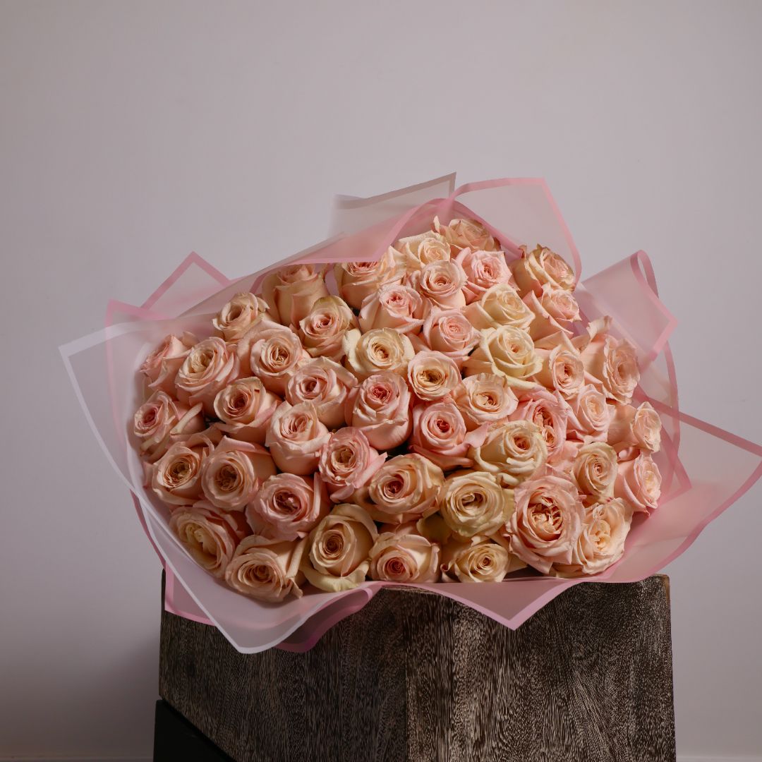 Blush D'Amore