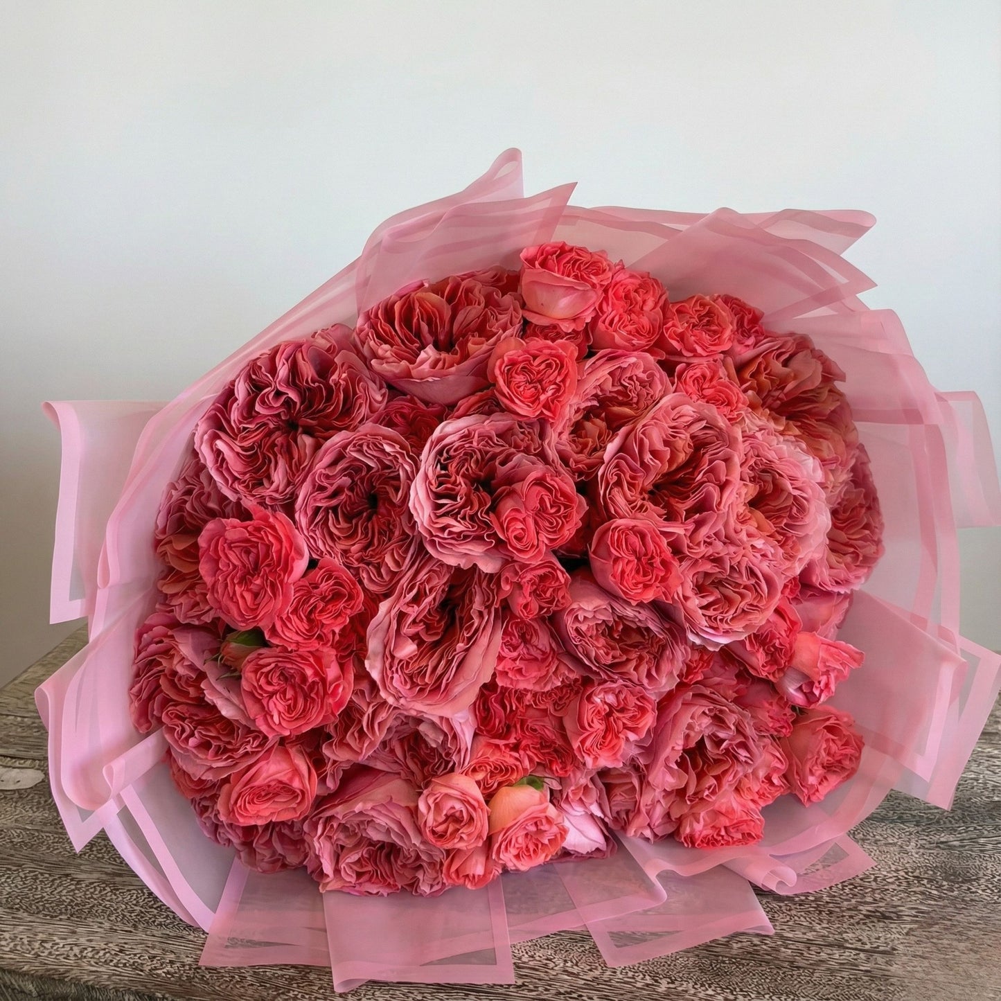 Blush Eternità Garden Roses