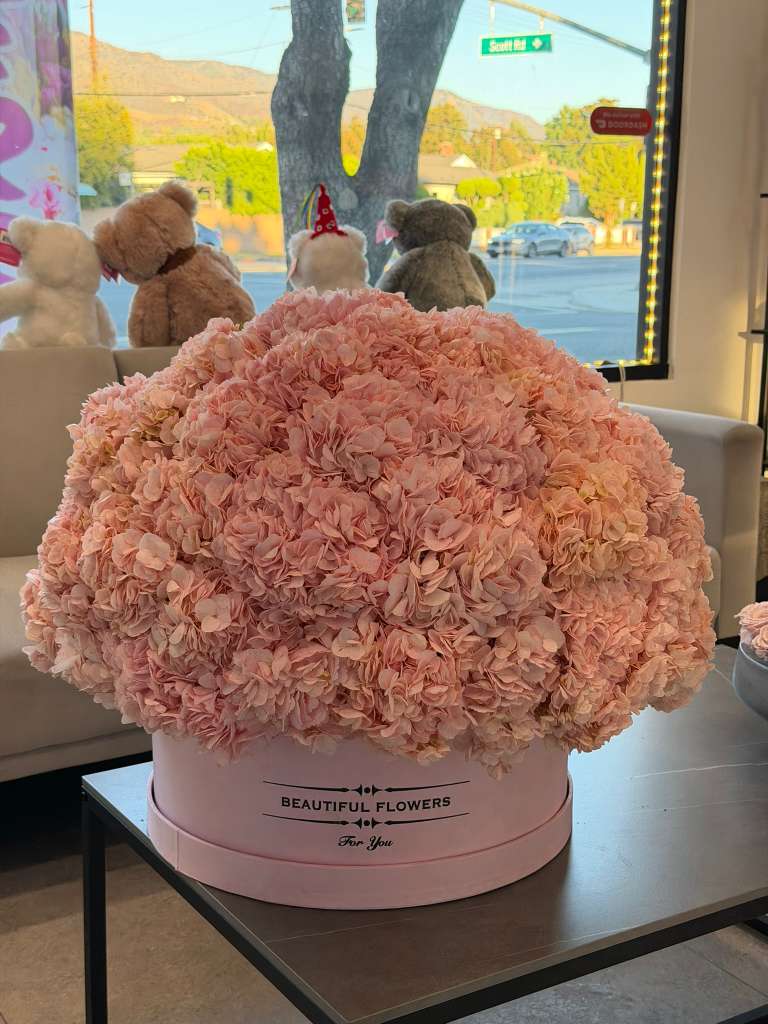 Pink Cloud